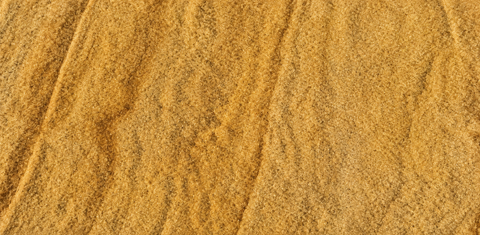 Teakwood Sandstone