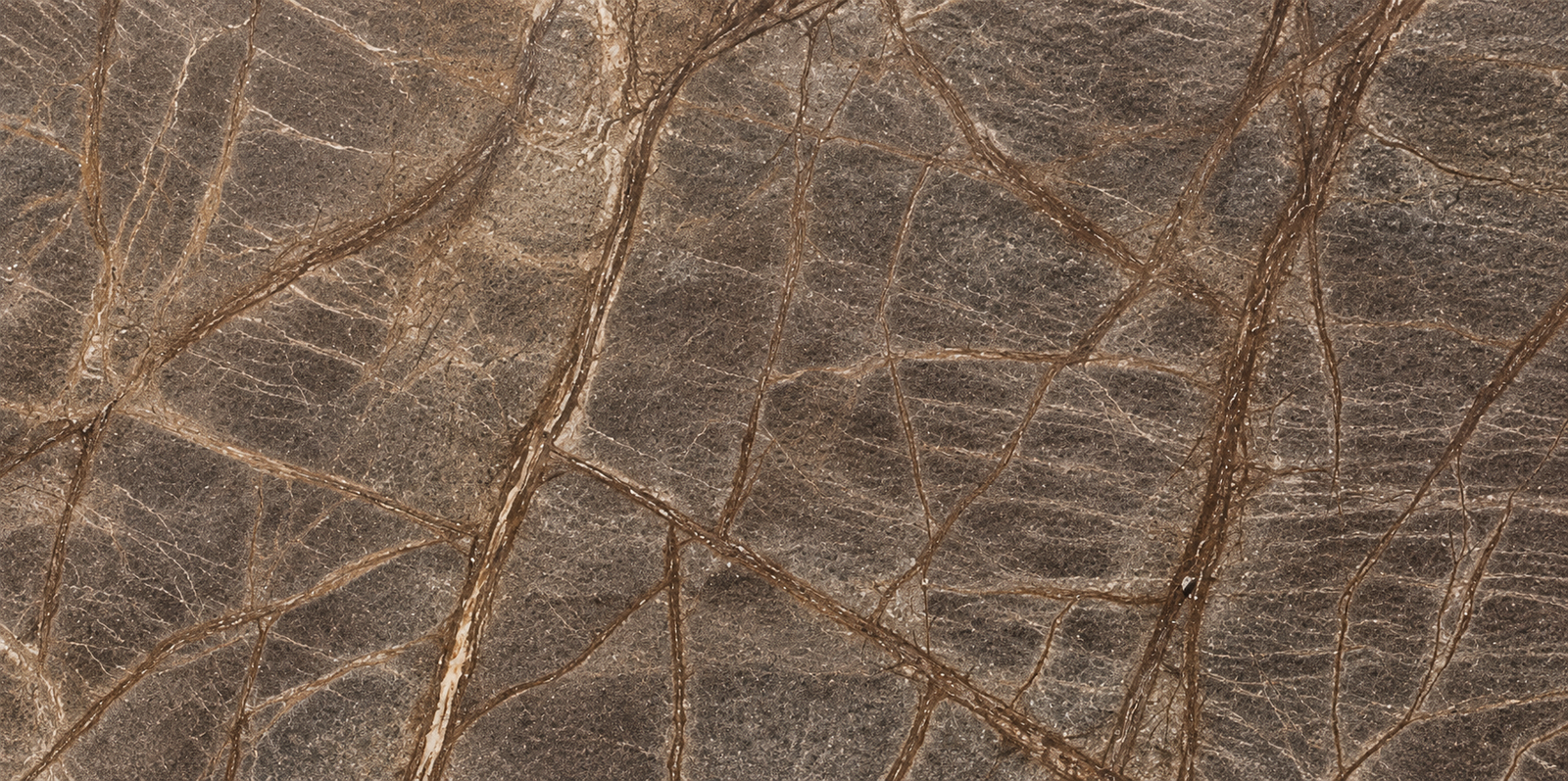 Rain Forest Brown Sandstone