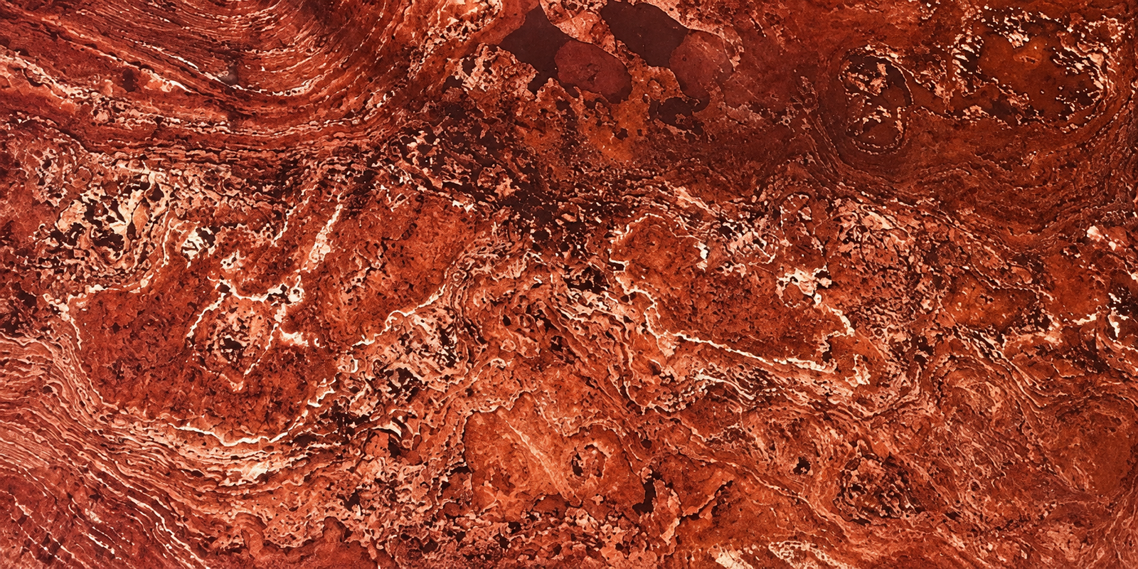 Forest Fire Translucent